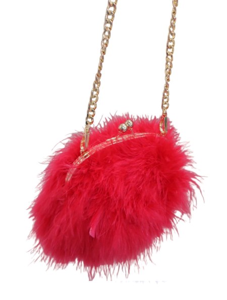 CLUTCH PLUMAS 2